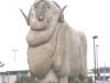 sheep-1